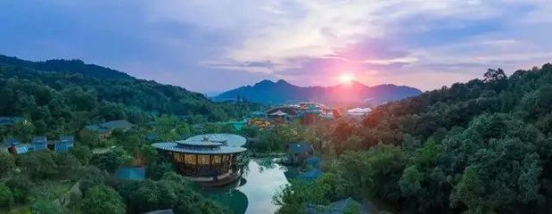 舟山航空文旅新篇章 保利航空小鎮開元森泊度假樂園成功簽約，擘畫海島旅游新藍圖